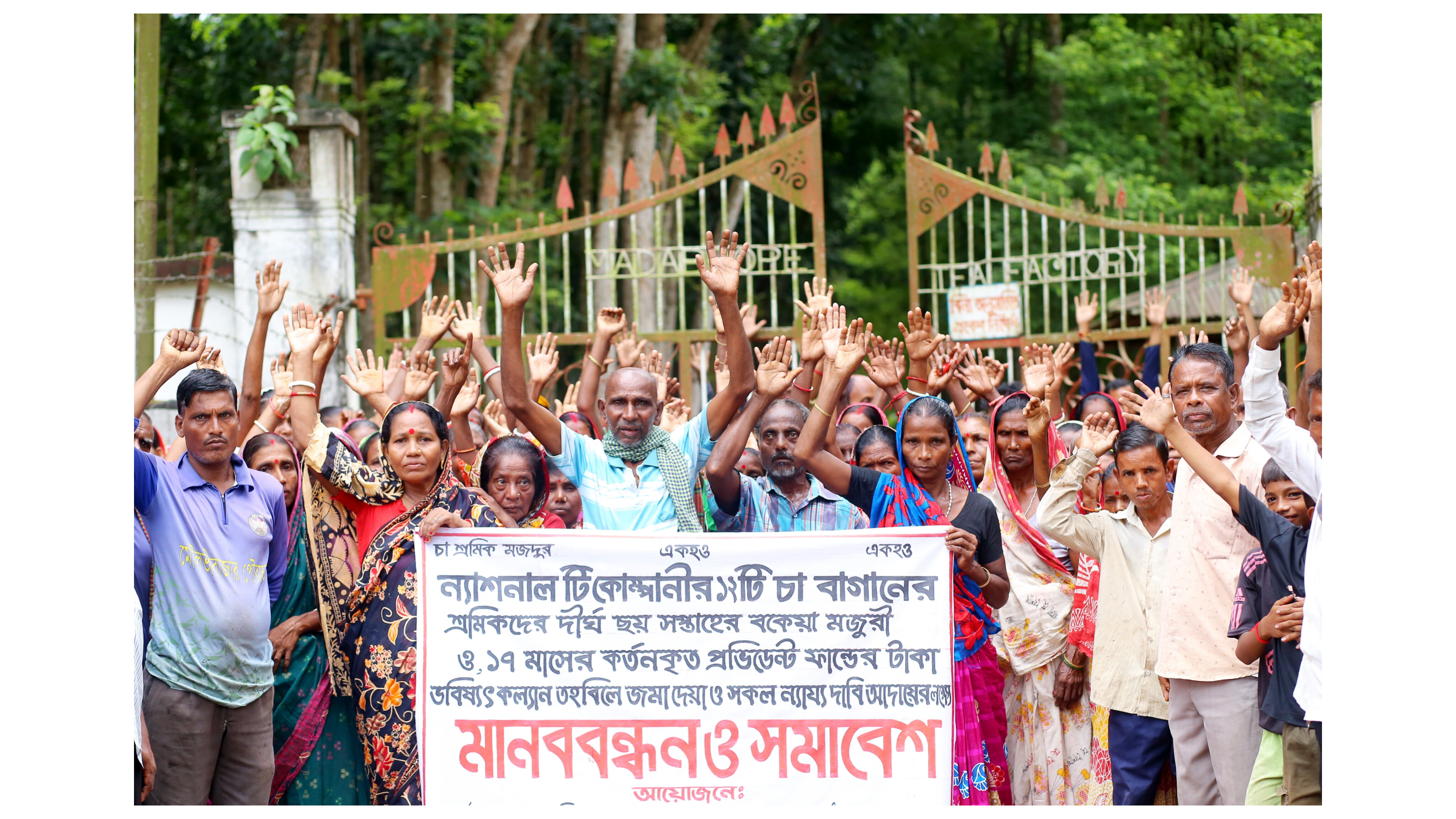 প্রাপ্য মজুরী না পেলে কাজে যোগদান করবে না চা শ্রমিকরা: কঠোর আন্দোলনের হুঁশিয়ারী